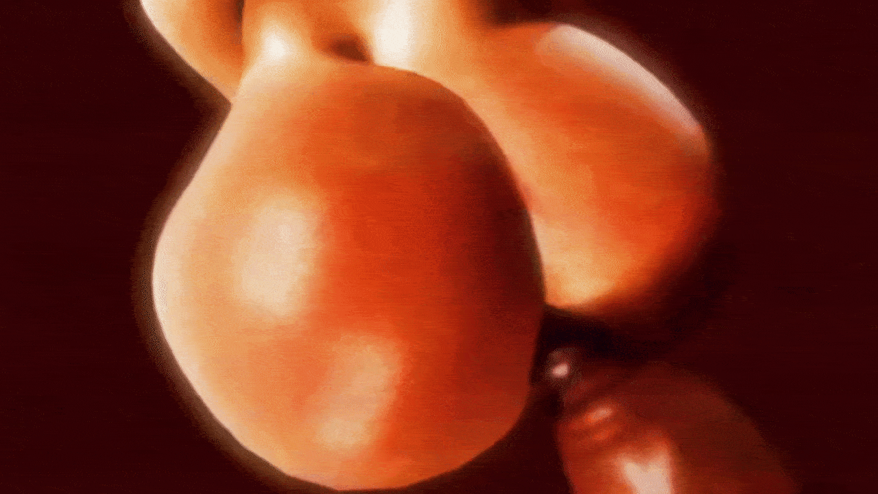 Ragatha (Coolbeanoishere) Rule 34 Image