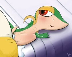 Pokemon (Species) Rule 34 Image