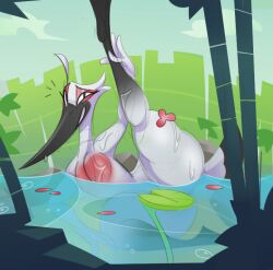 Crane (Bird) Rule 34 Image