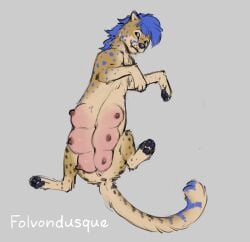 Animal Genitalia Rule 34 Image