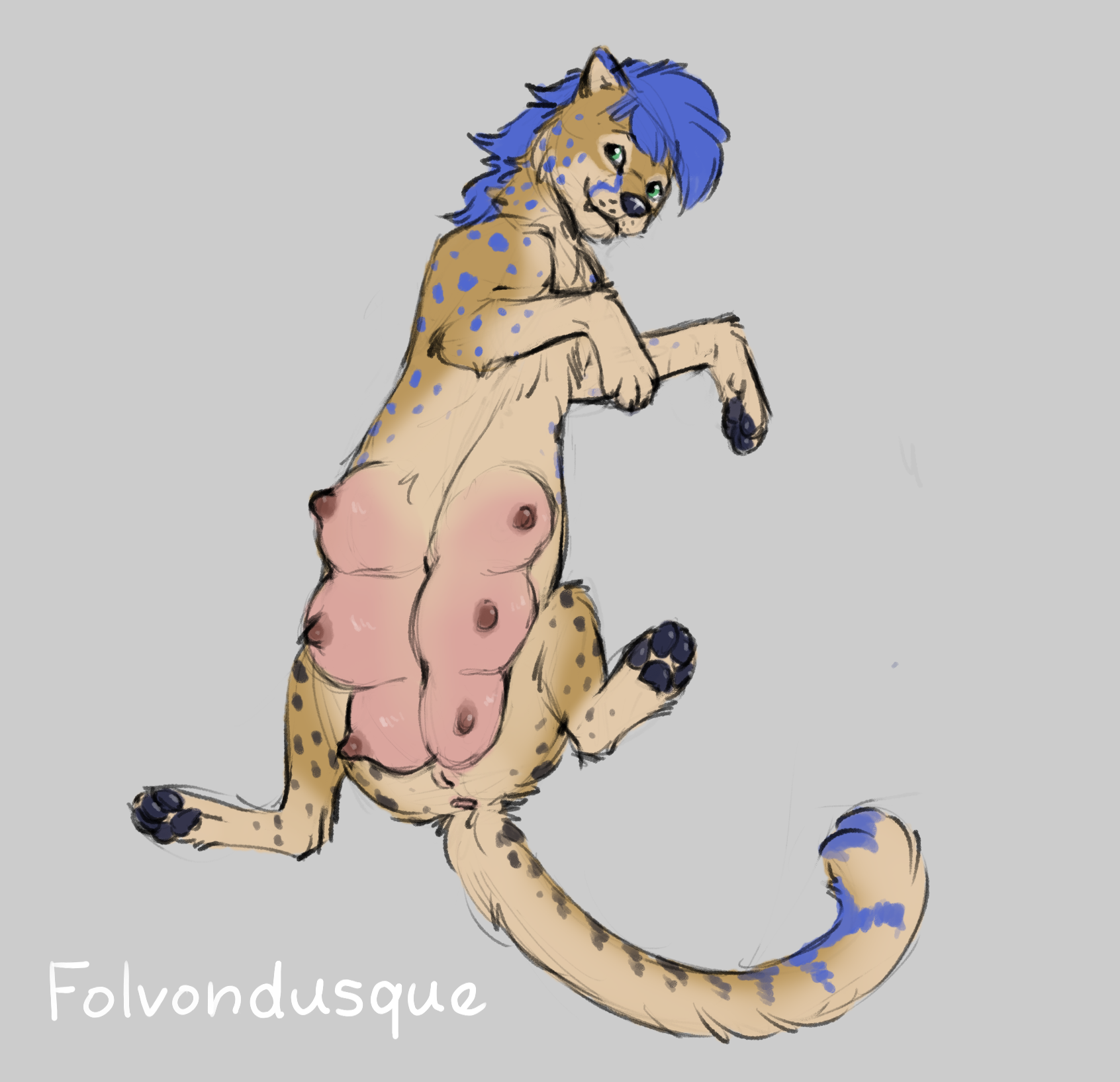 Animal Genitalia Rule 34 Image