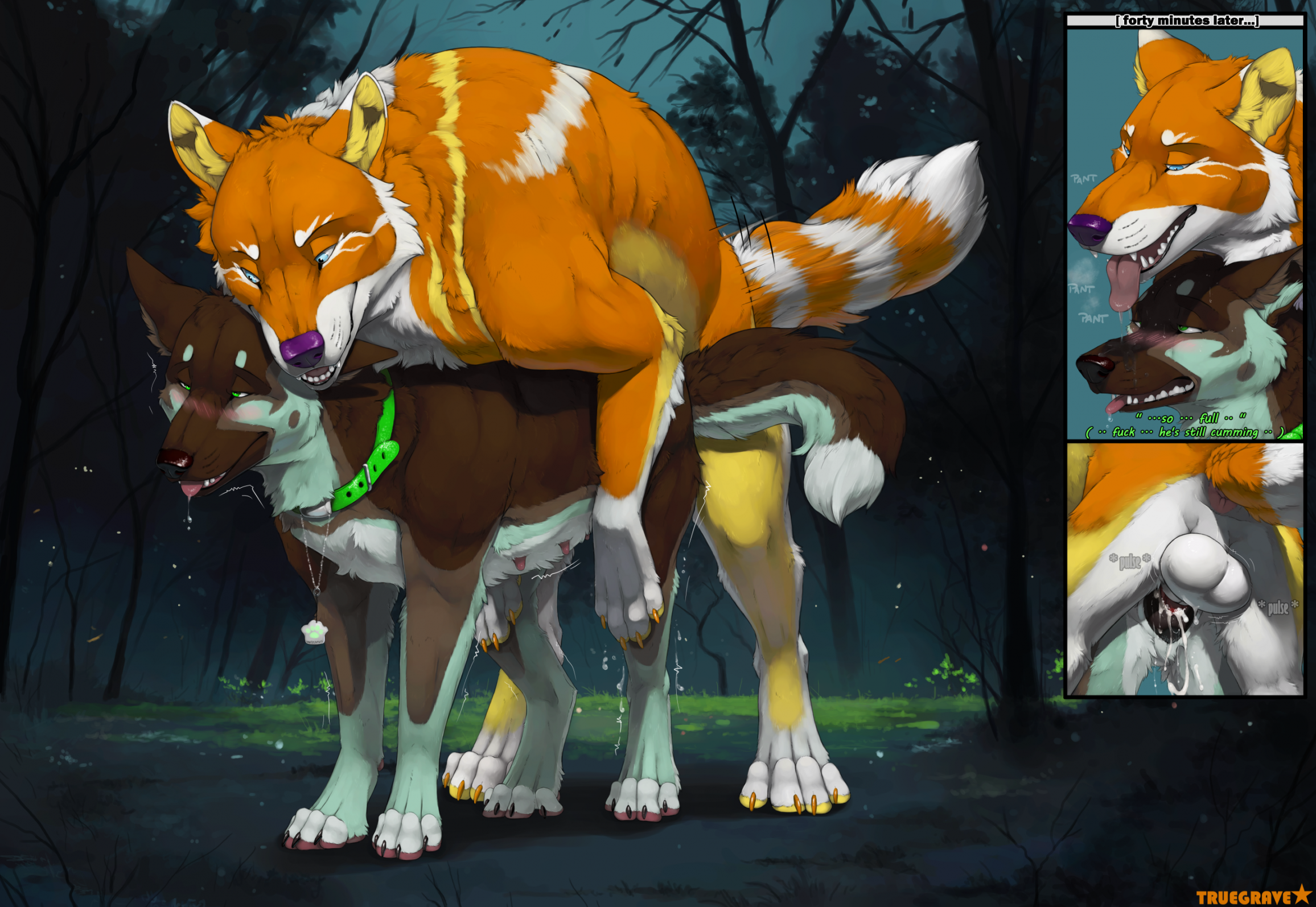 Animal Genitalia Rule 34 Image