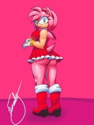 Sonic (Series) Rule 34 Image