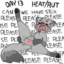 > < Rule 34 Image