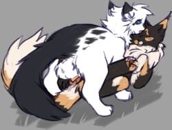 Darktail (Warriors) Rule 34 Image