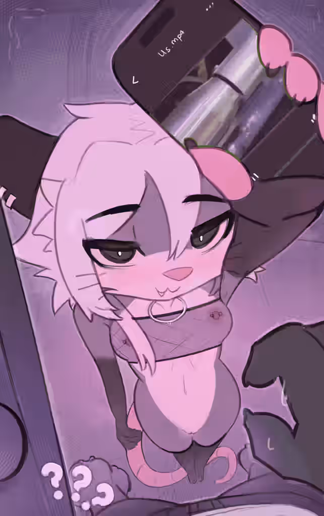 Fishnet Bra Rule 34 Image