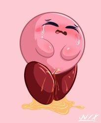 Kirby (Series) Rule 34 Image