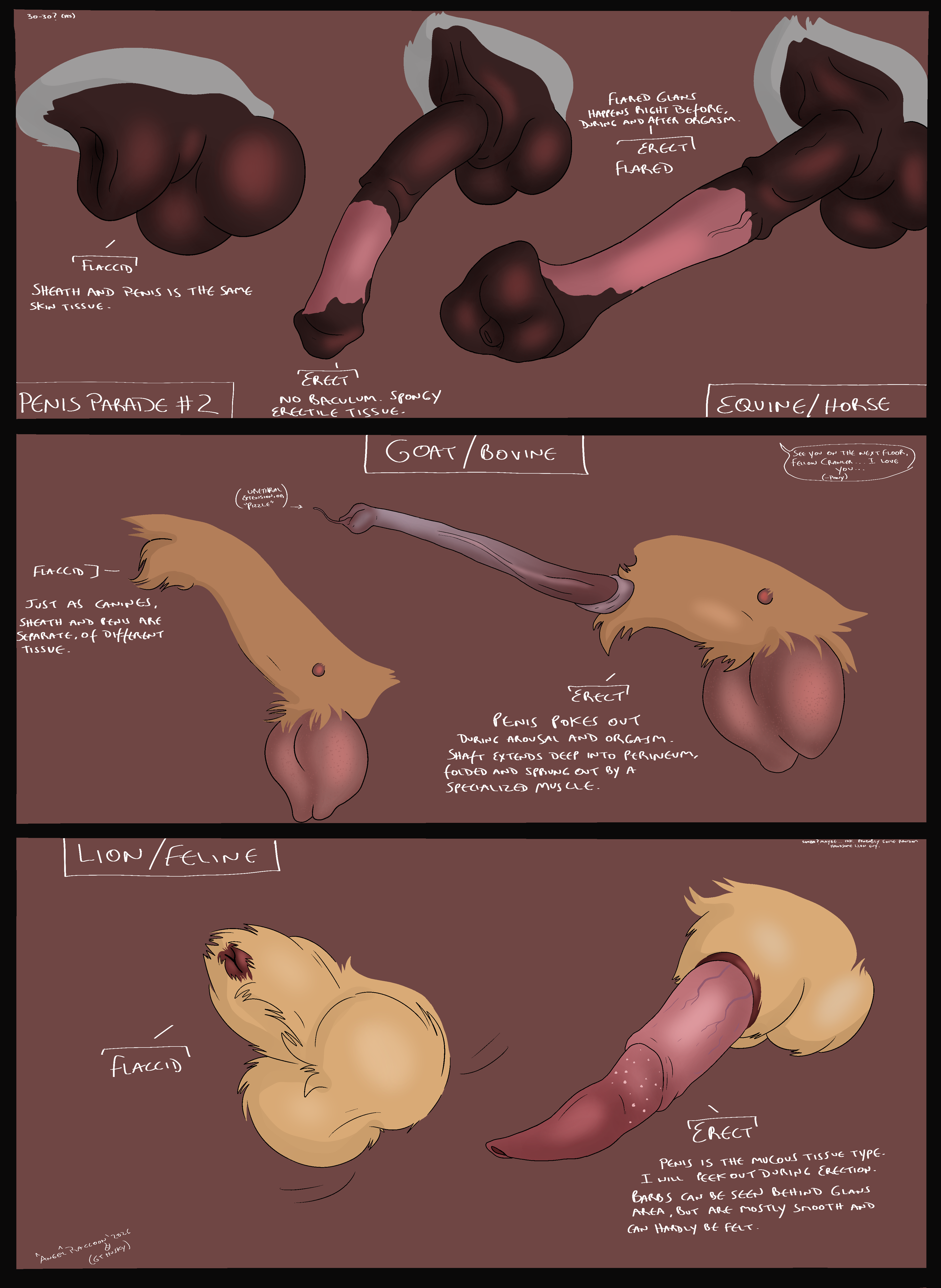 Absurd Res Rule 34 Image