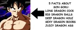 Dragon Ball Rule 34 Image