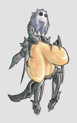 Hollow Knight (Franchise) Rule 34 Image