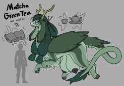 Paradrakes (Species) Rule 34 Image