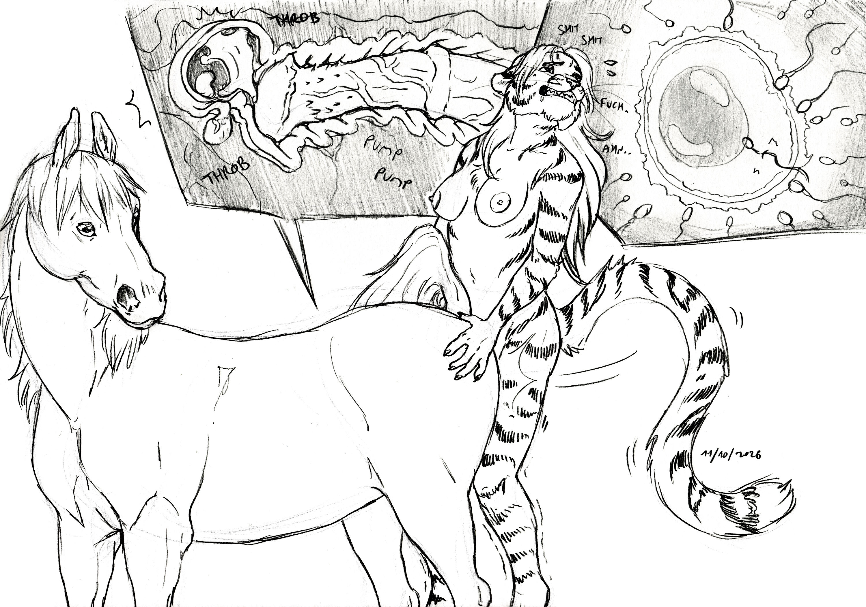 Animal Genitalia Rule 34 Image