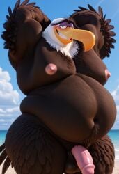 Accipitrid Rule 34 Image