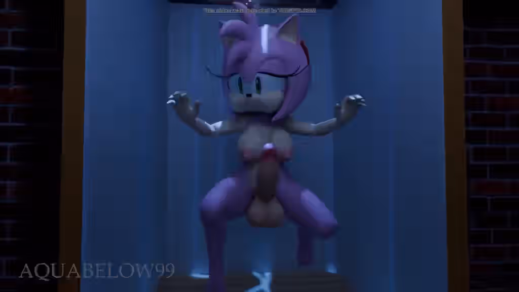 Sonic (Series) Rule 34 Video