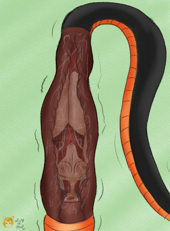 Cell (Dragon Ball) Rule 34 Image