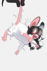 Squeaky The Scientist (Mochii Tiger) Rule 34 Image