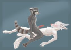 Absurd Res Rule 34 Image