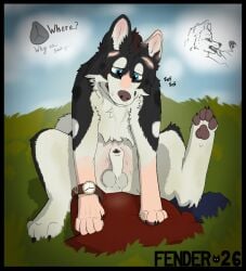 Animal Genitalia Rule 34 Image