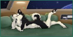 Husky (Gthusk) Rule 34 Image