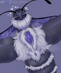 Antennae (Anatomy) Rule 34 Image