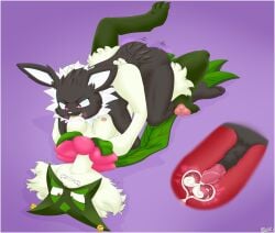 Flower (Anatomy) Rule 34 Image