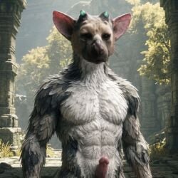 Trico (Character) Rule 34 Image
