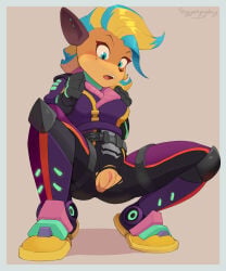 Crash Bandicoot (Series) Rule 34 Image