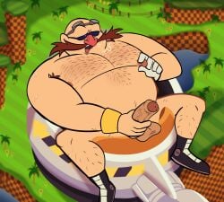 Sonic (Series) Rule 34 Image