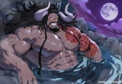 Kaido (One Piece) Rule 34 Image