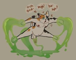 Animal Hospital (Roblox) Rule 34 Image