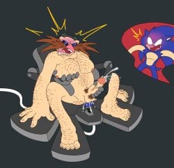 Sonic The Hedgehog (Series) Rule 34 Image