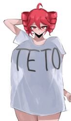 Big Breasts Rule 34 Image