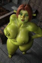 Princess Fiona (Ogre) Rule 34 Image