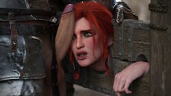 The Witcher (Series) Rule 34 Image
