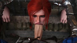 The Witcher (Series) Rule 34 Image