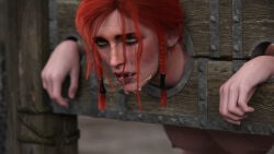 The Witcher (Series) Rule 34 Image