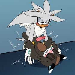 Sonic The Hedgehog (Series) Rule 34 Image