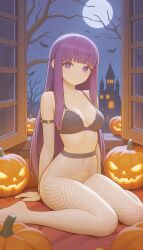 Fern (Sousou No Frieren) Rule 34 Image