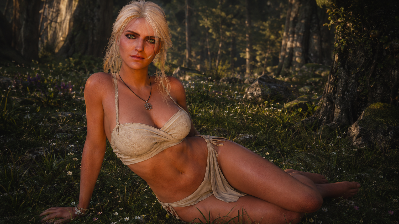 The Witcher (Series) Rule 34 Image