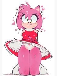 Sonic (Series) Rule 34 Image
